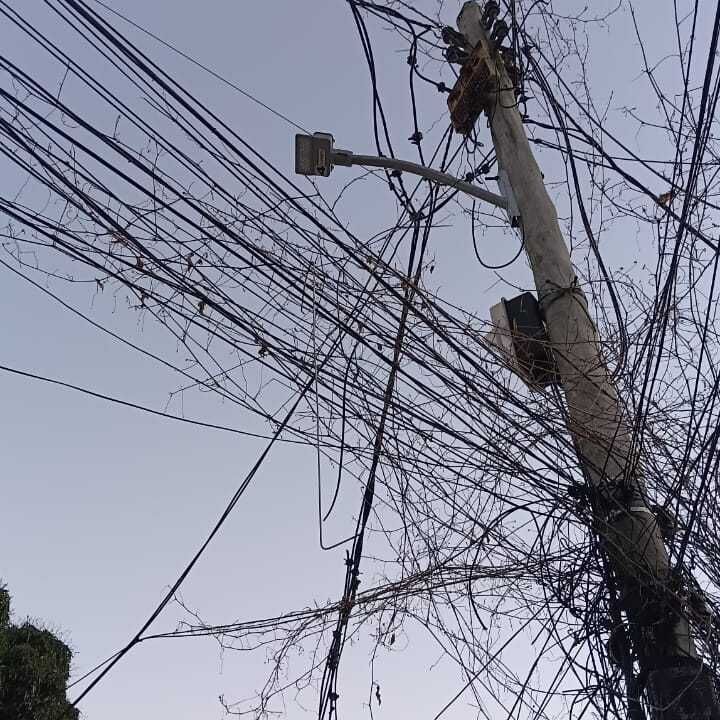 Imagem da publicação