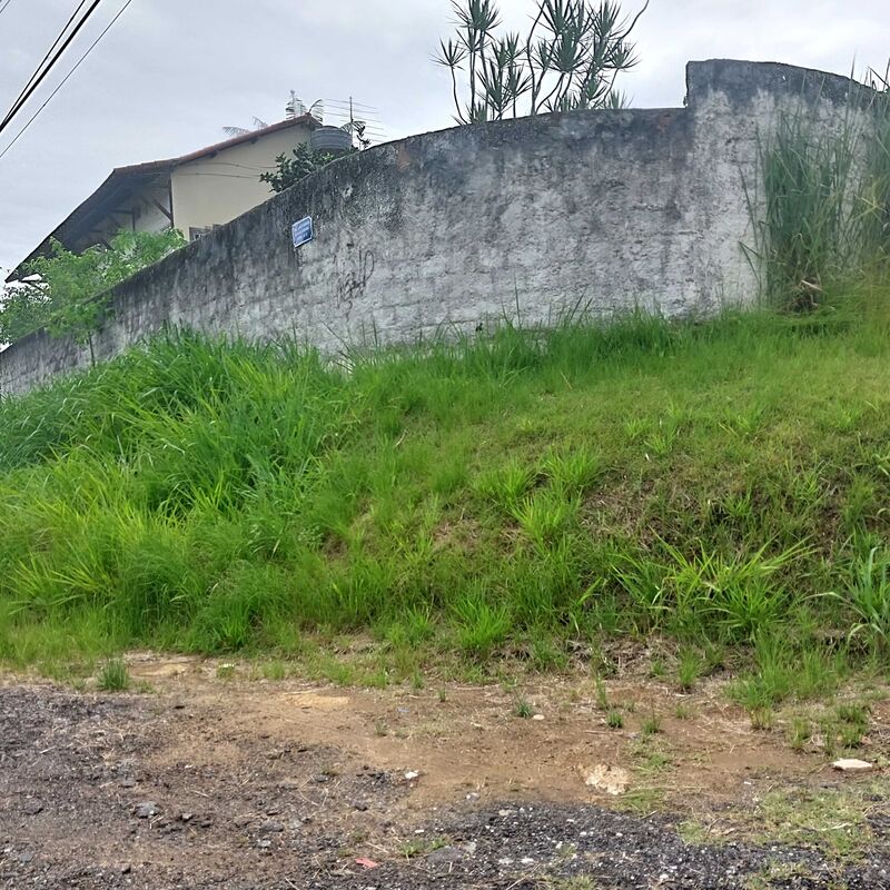 Imagem da publicação