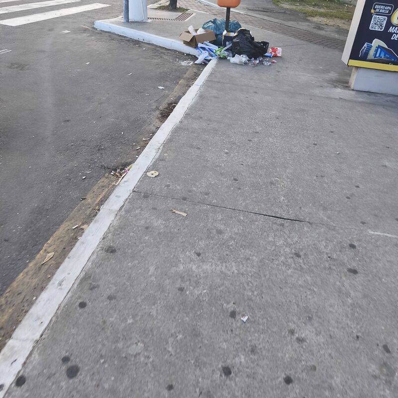 Imagem da publicação
