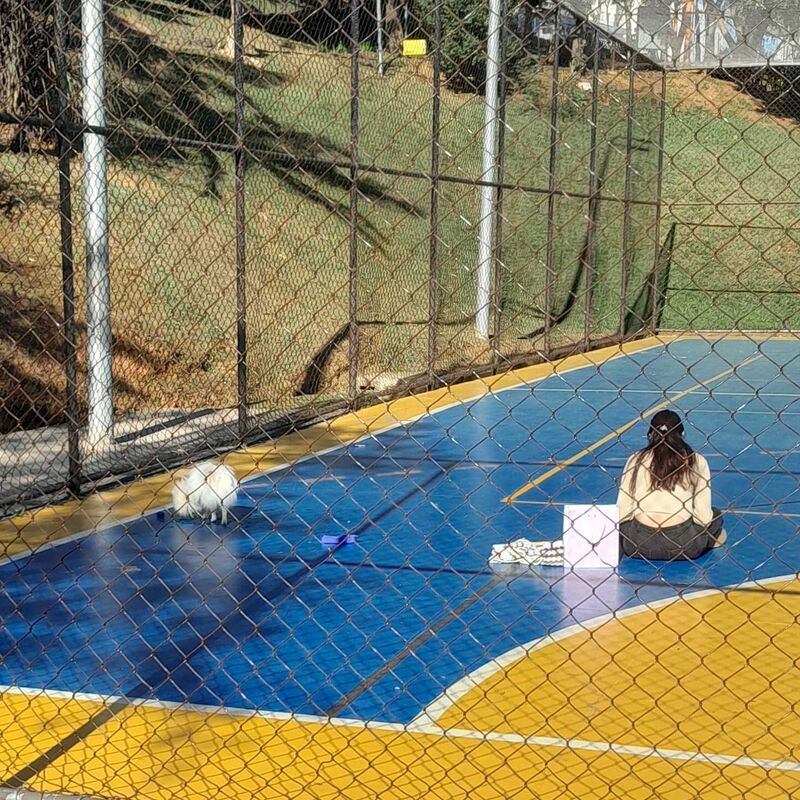 Imagem da publicação