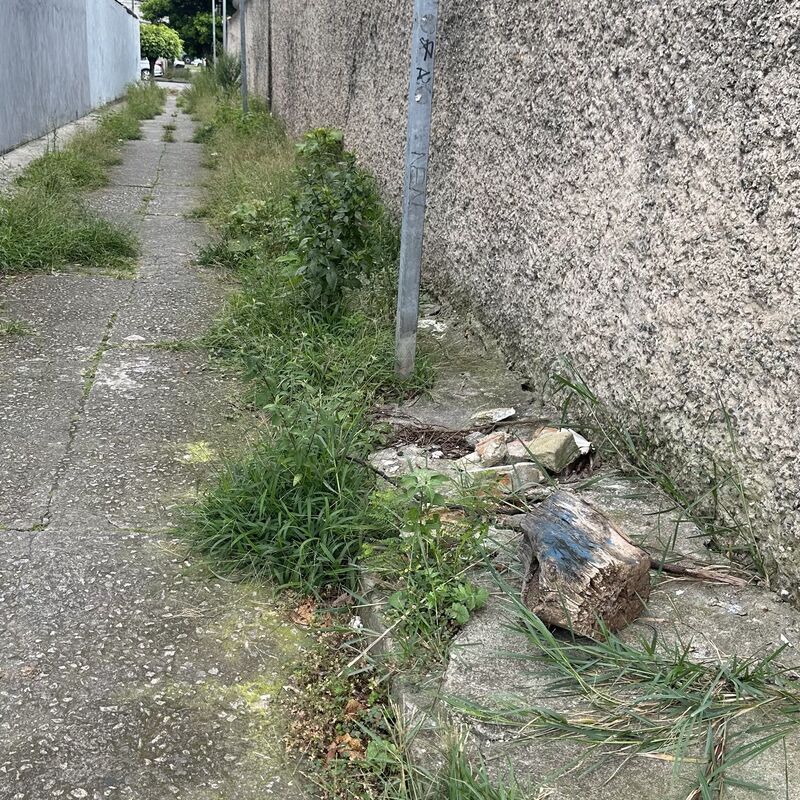 Imagem da publicação