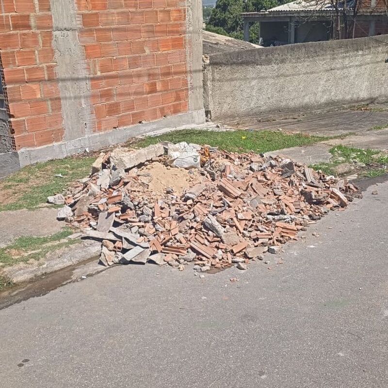 Imagem da publicação