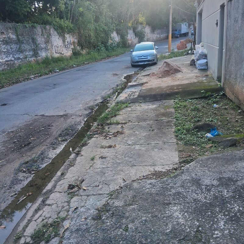 Imagem da publicação
