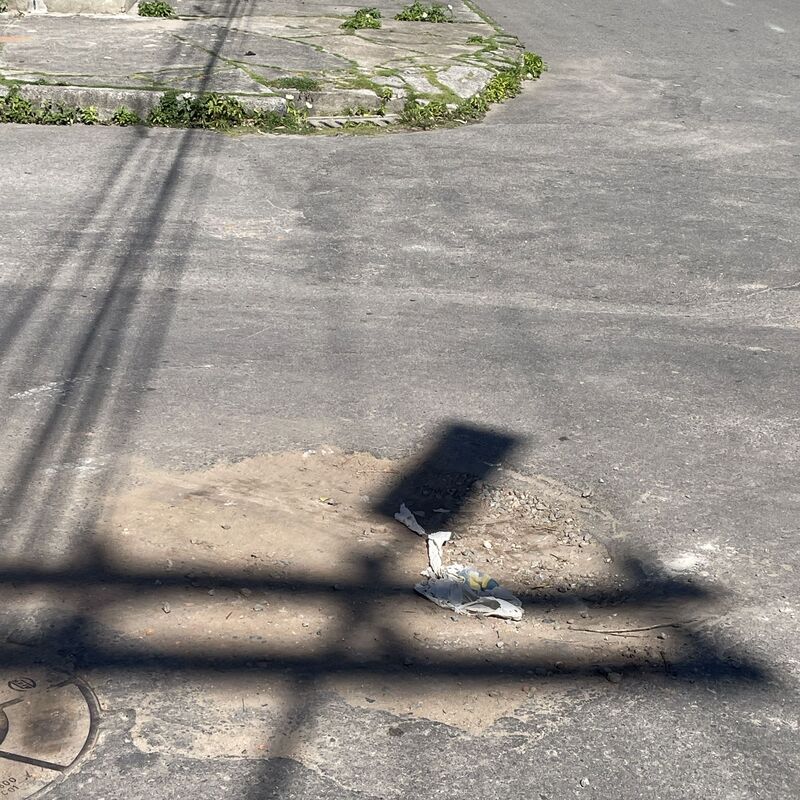 Imagem da publicação