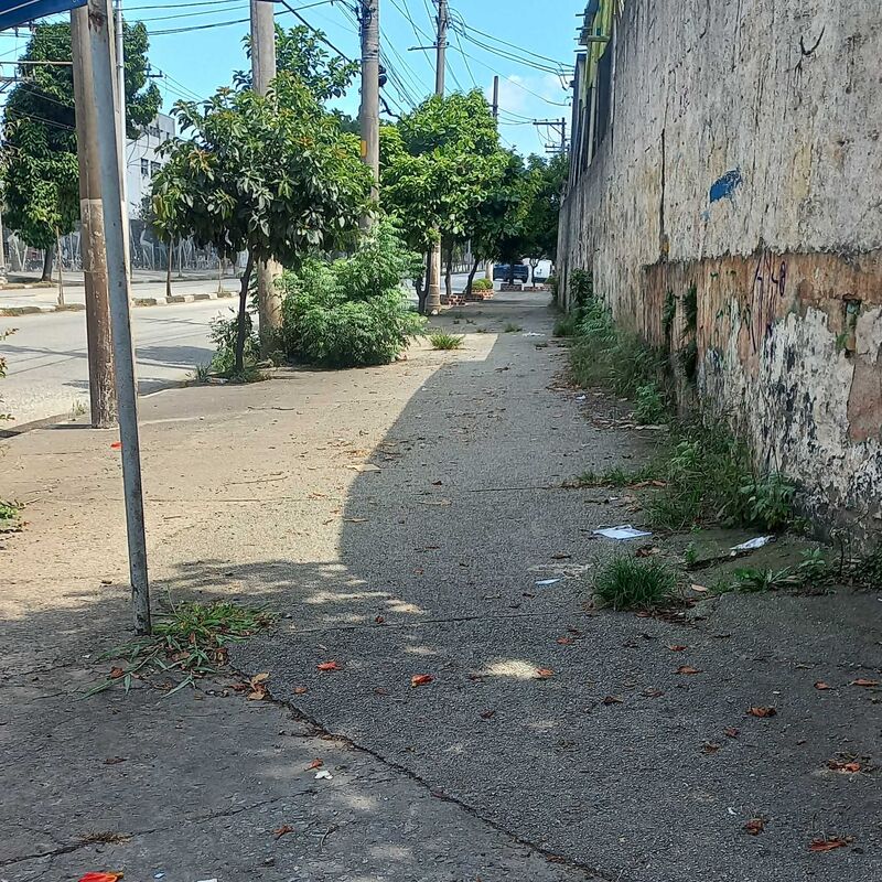 Imagem da publicação