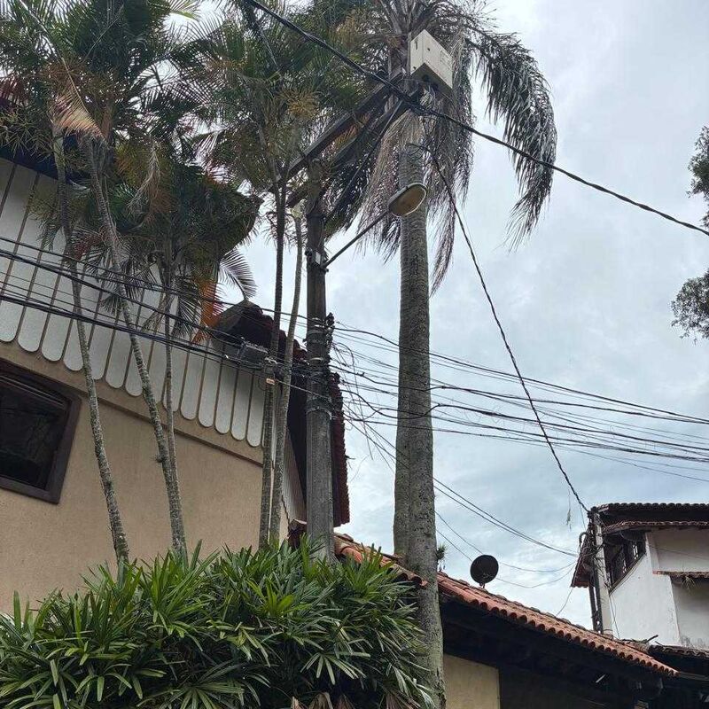 Imagem da publicação