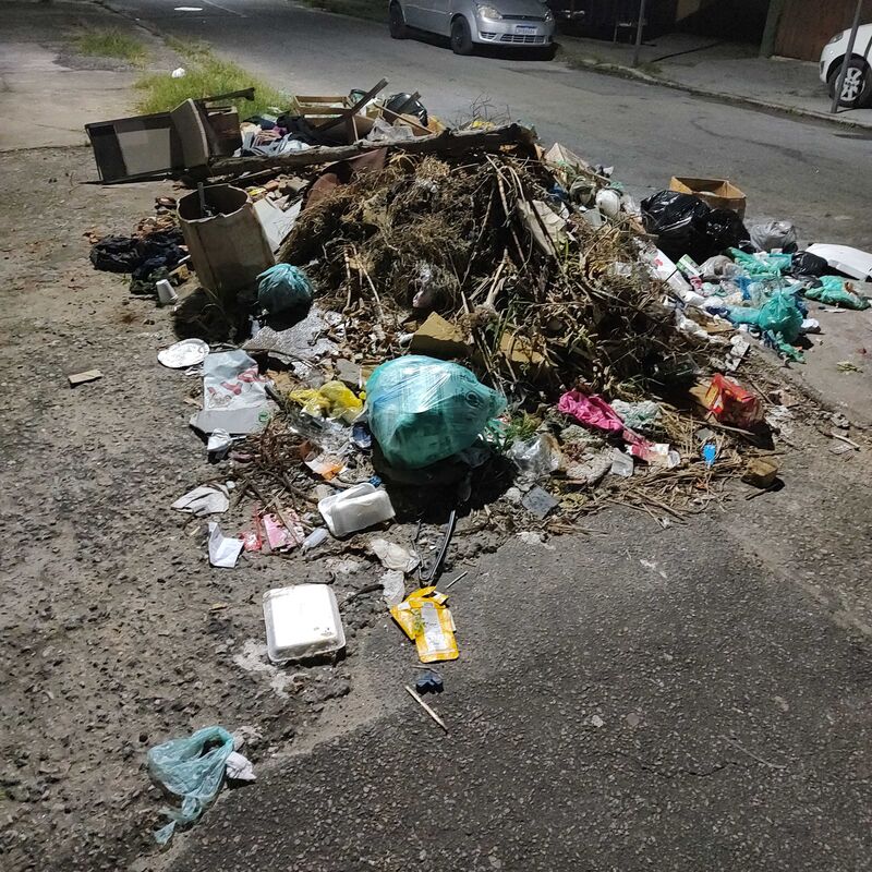 Imagem da publicação