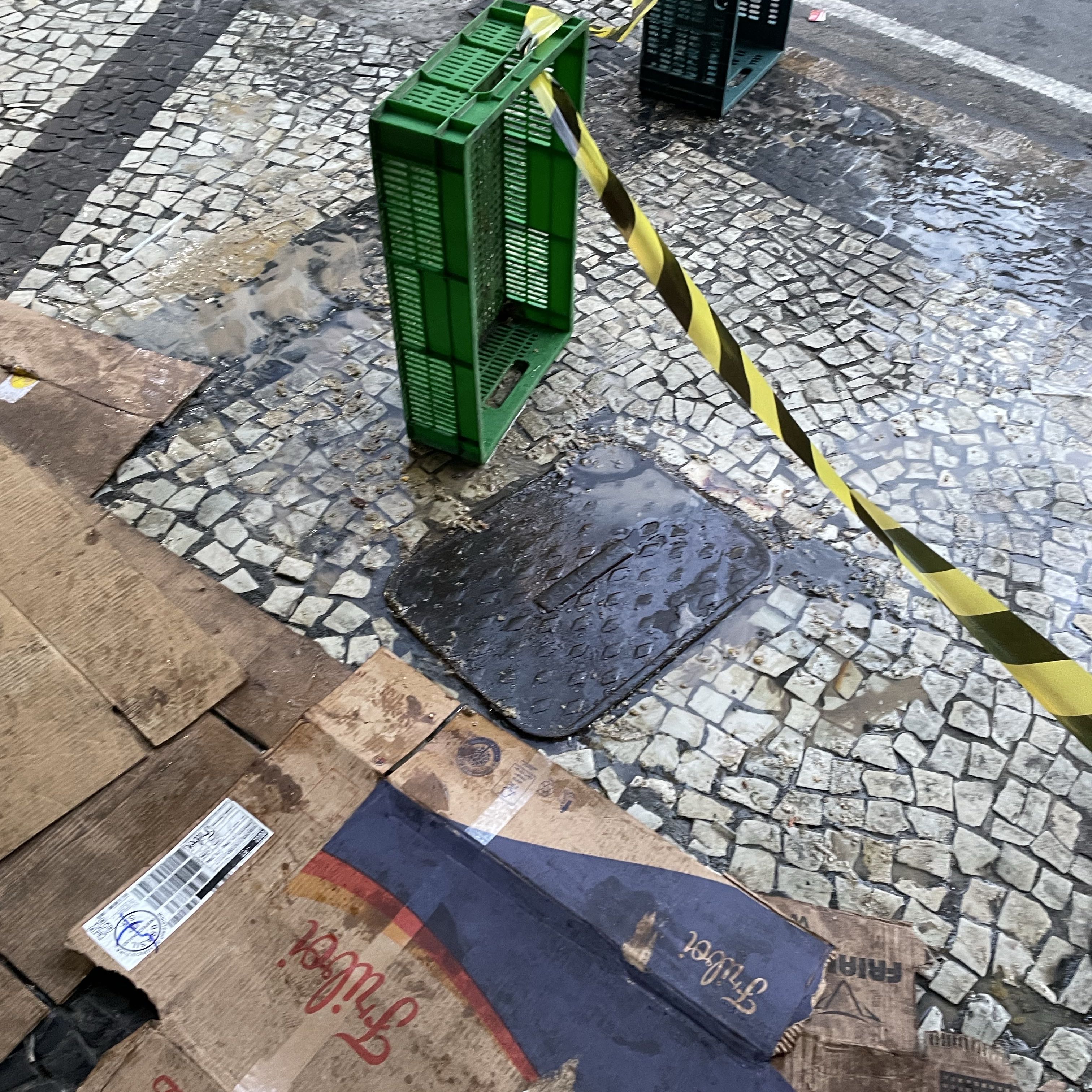 Imagem da publicação