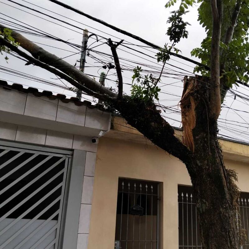 Imagem da publicação