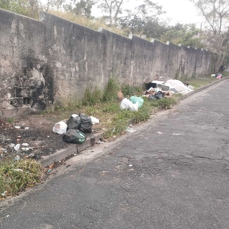 Imagem da publicação