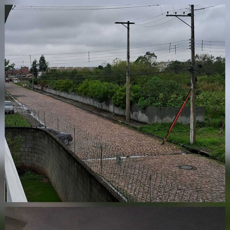 Imagem da publicação