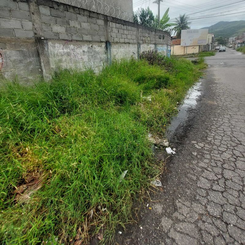 Imagem da publicação