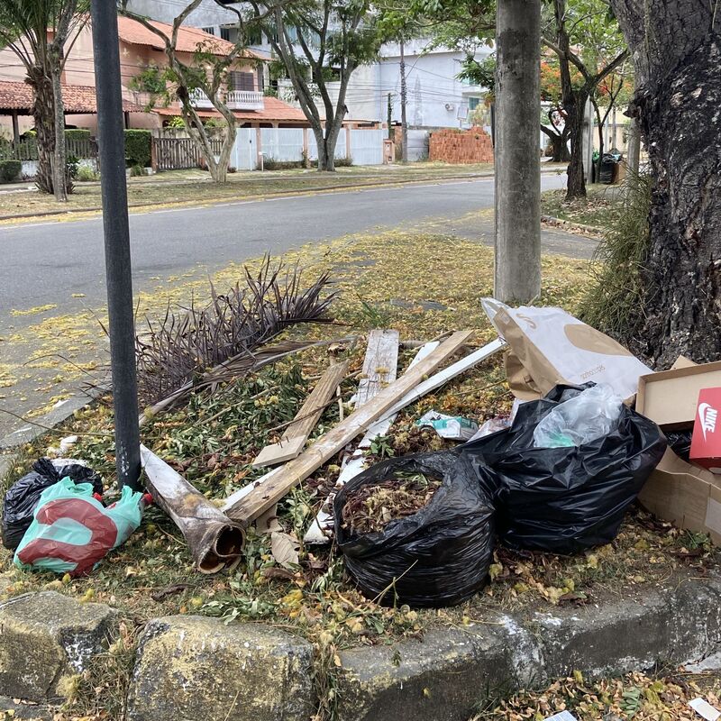 Imagem da publicação