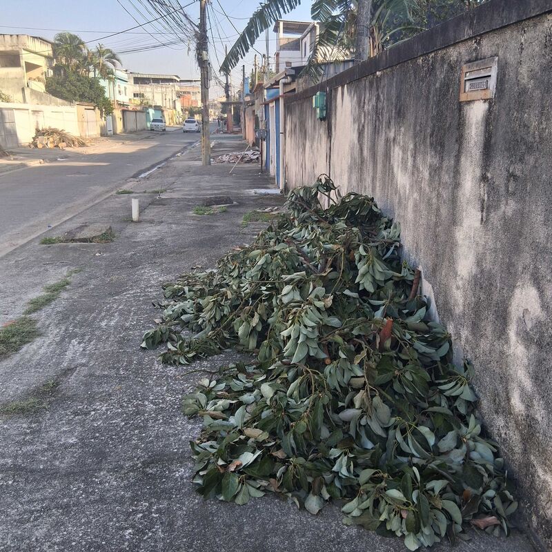 Imagem da publicação