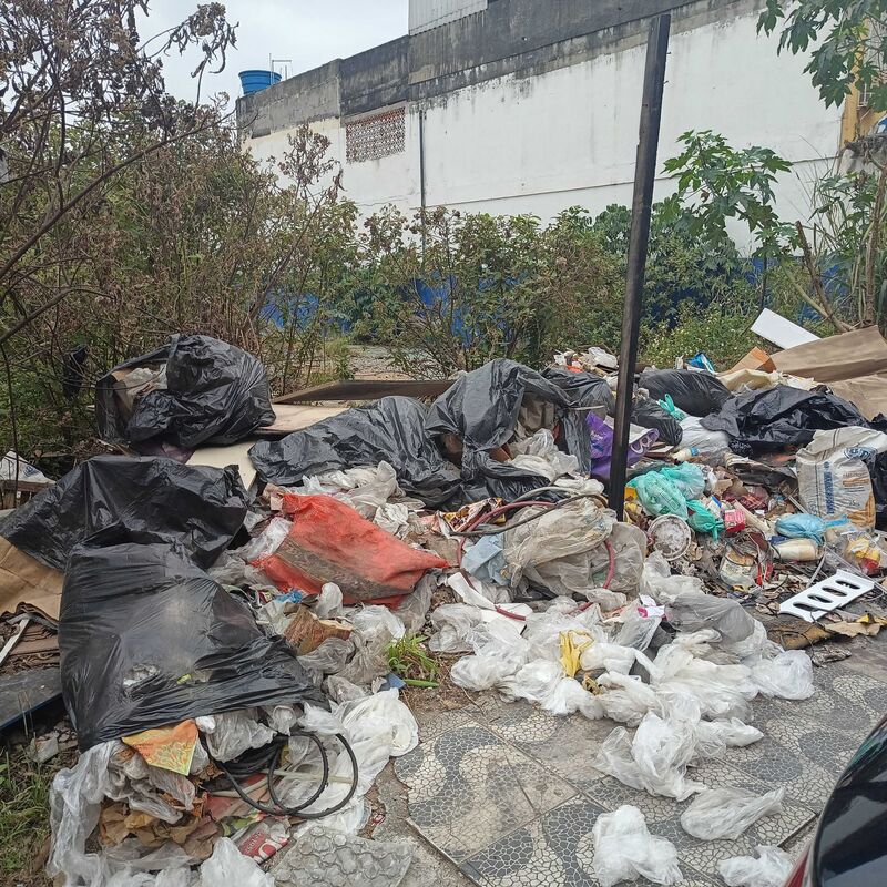 Imagem da publicação