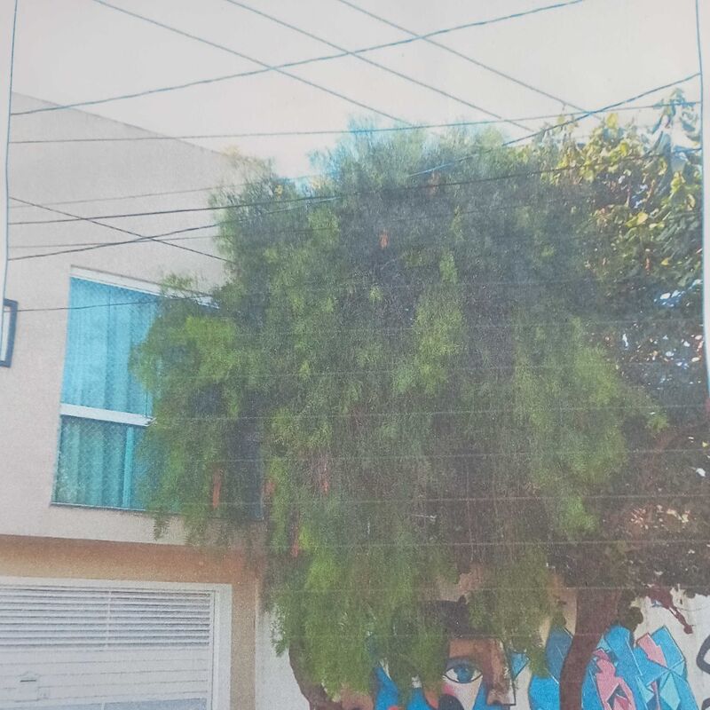 Imagem da publicação