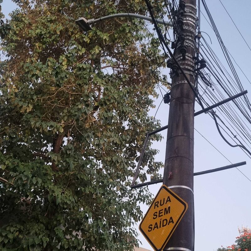 Imagem da publicação