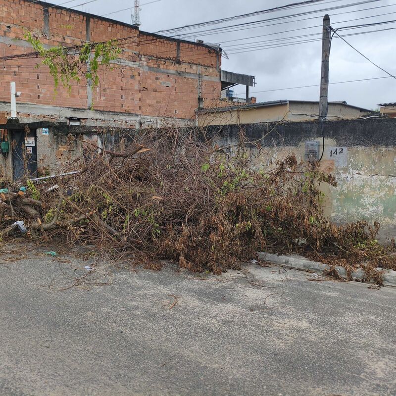 Imagem da publicação