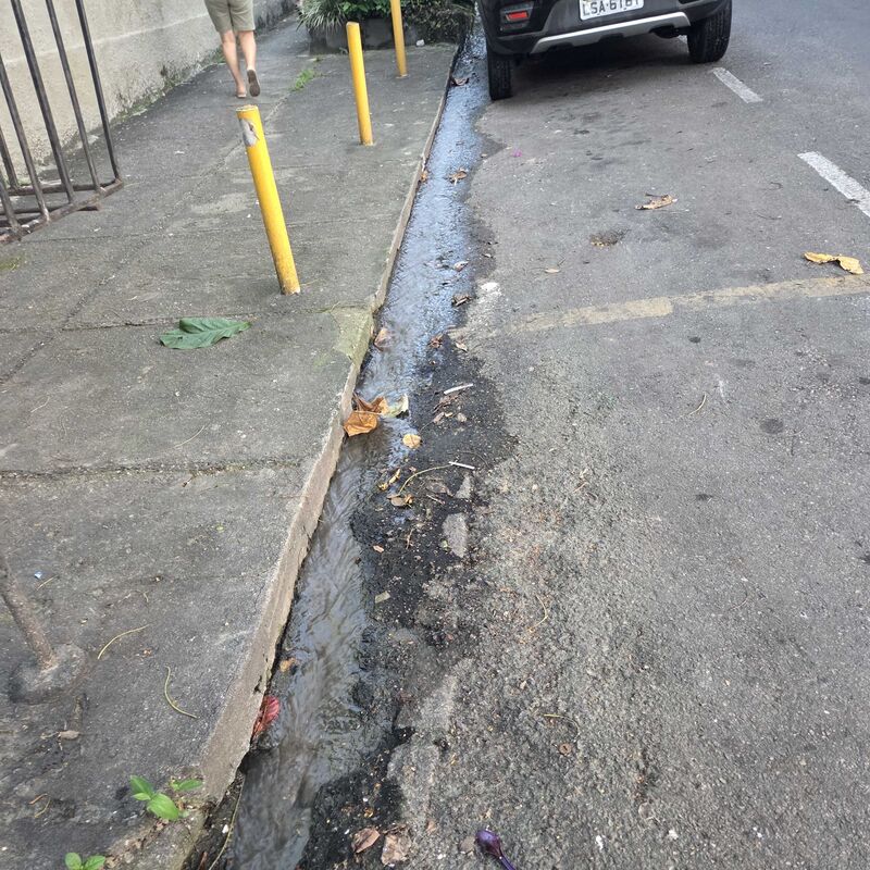 Imagem da publicação