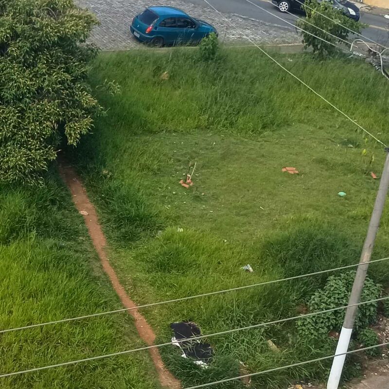 Imagem da publicação