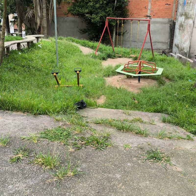 Imagem da publicação