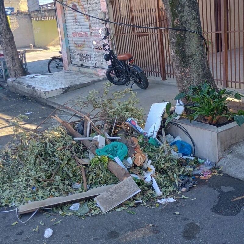 Imagem da publicação