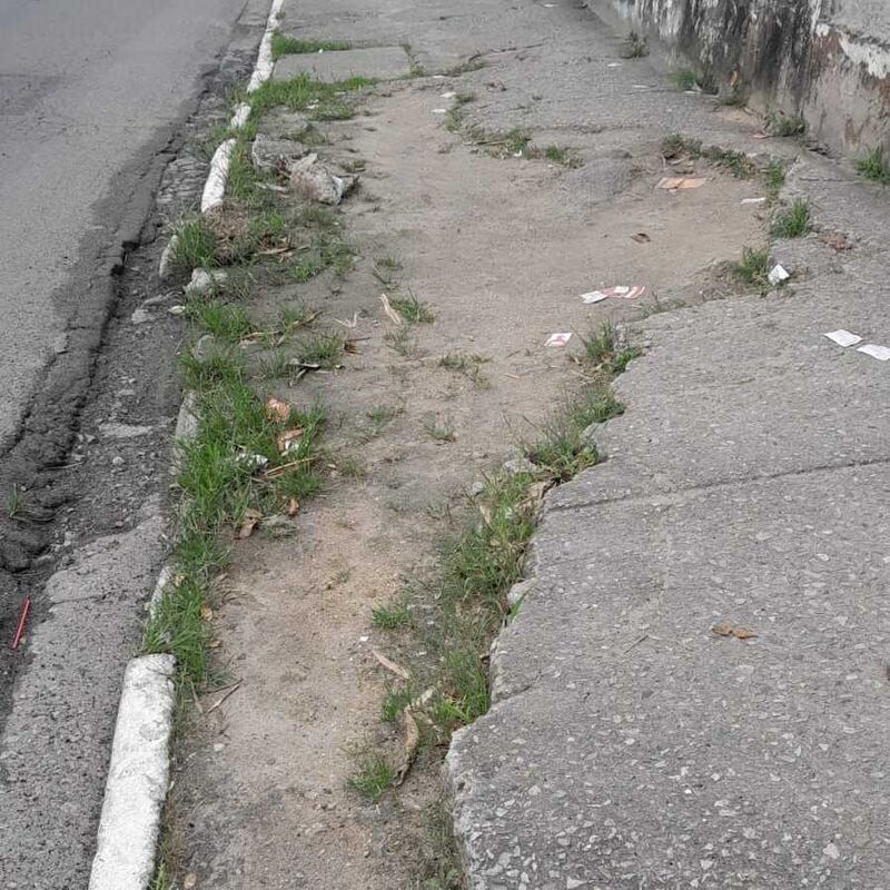 Imagem da publicação