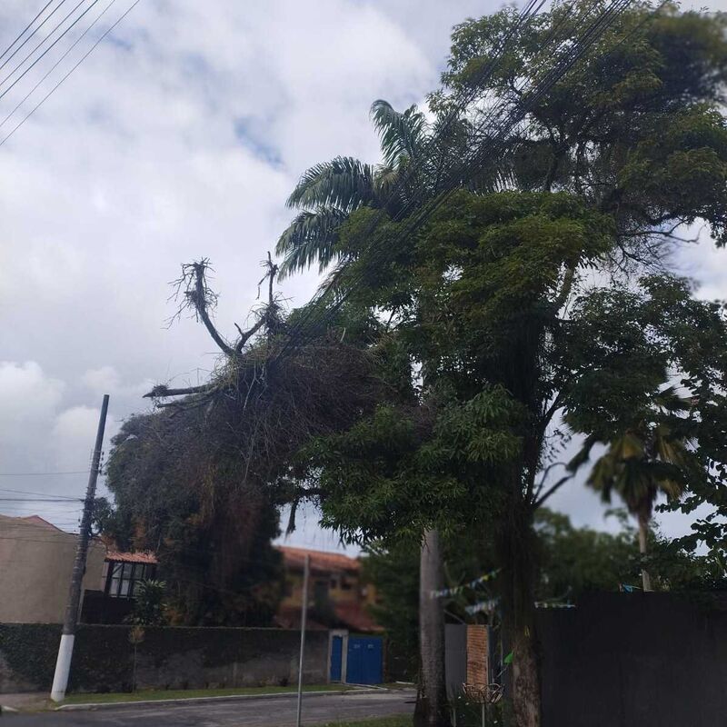 Imagem da publicação