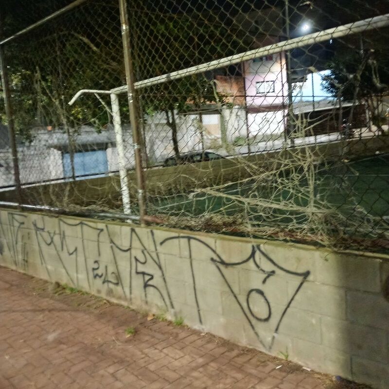 Imagem da publicação