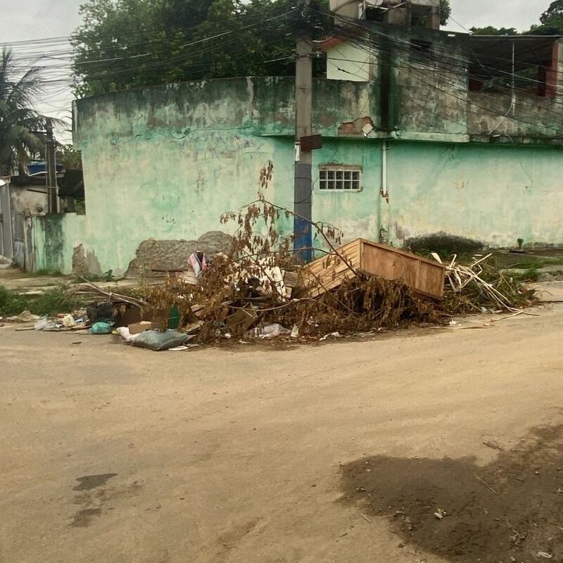 Imagem da publicação