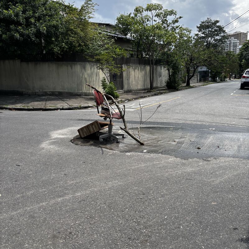 Imagem da publicação