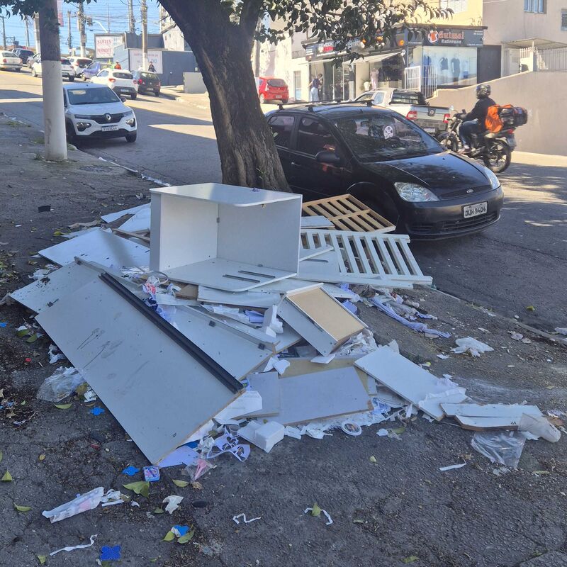 Imagem da publicação