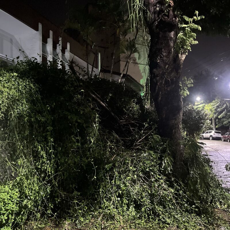 Imagem da publicação