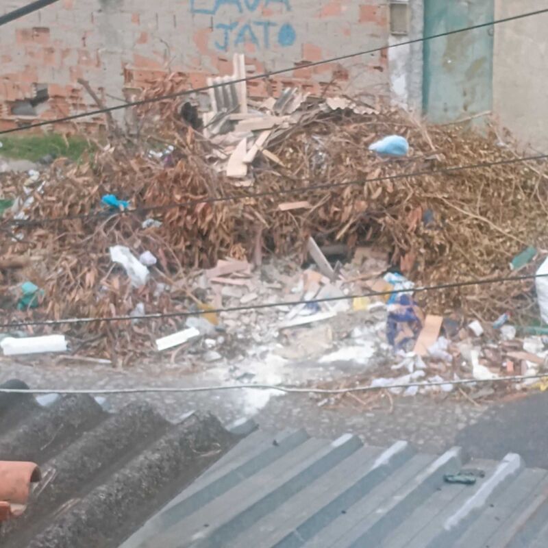 Imagem da publicação