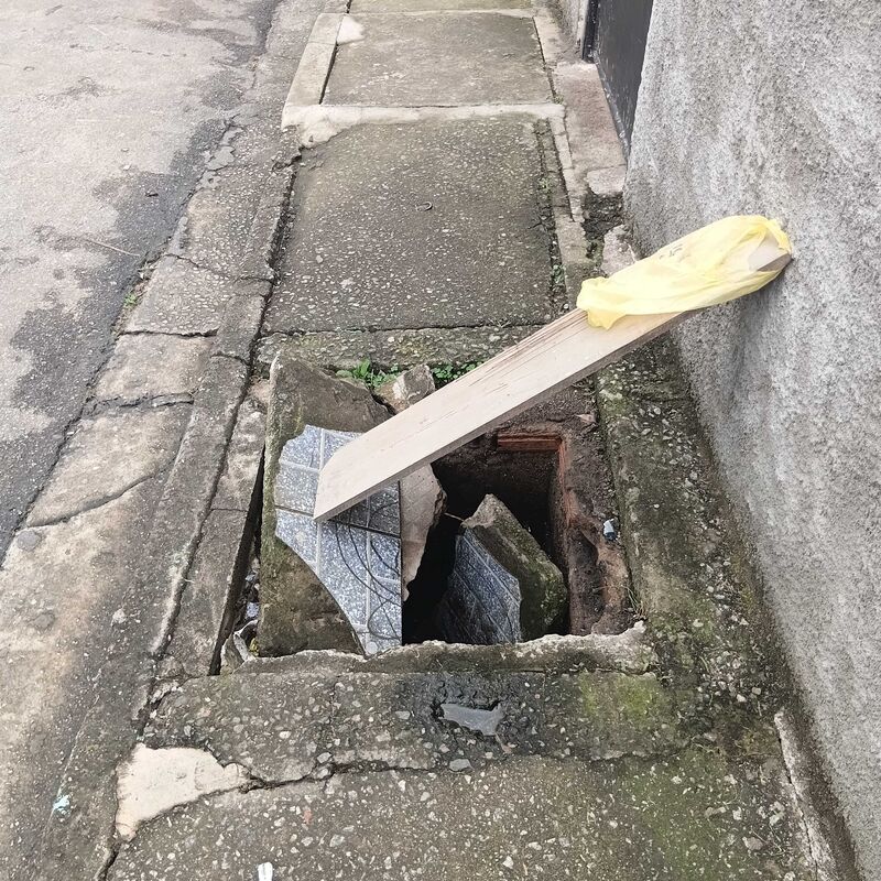 Imagem da publicação