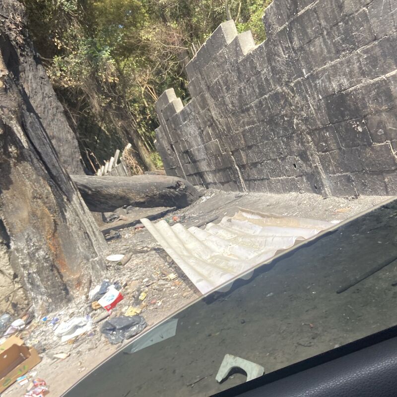 Imagem da publicação