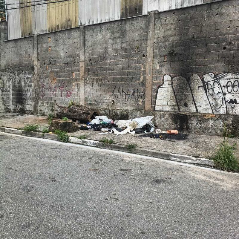 Imagem da publicação