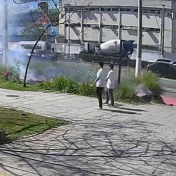 Imagem da publicação