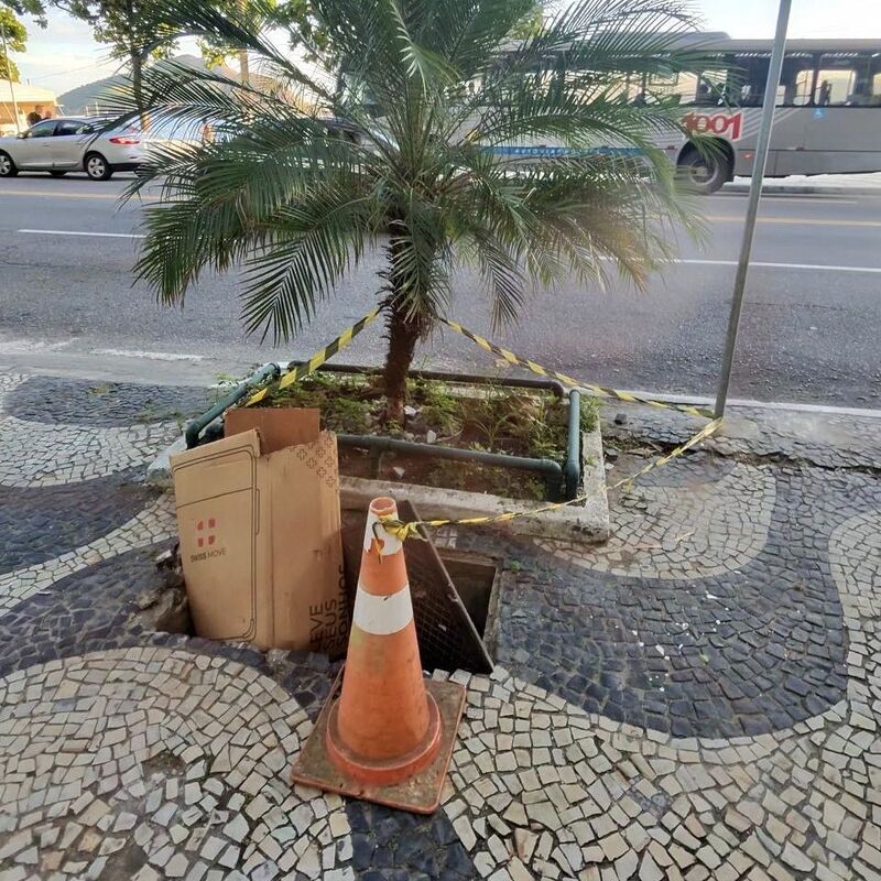 Imagem da publicação