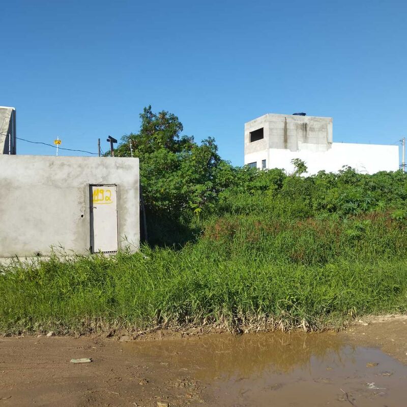 Imagem da publicação