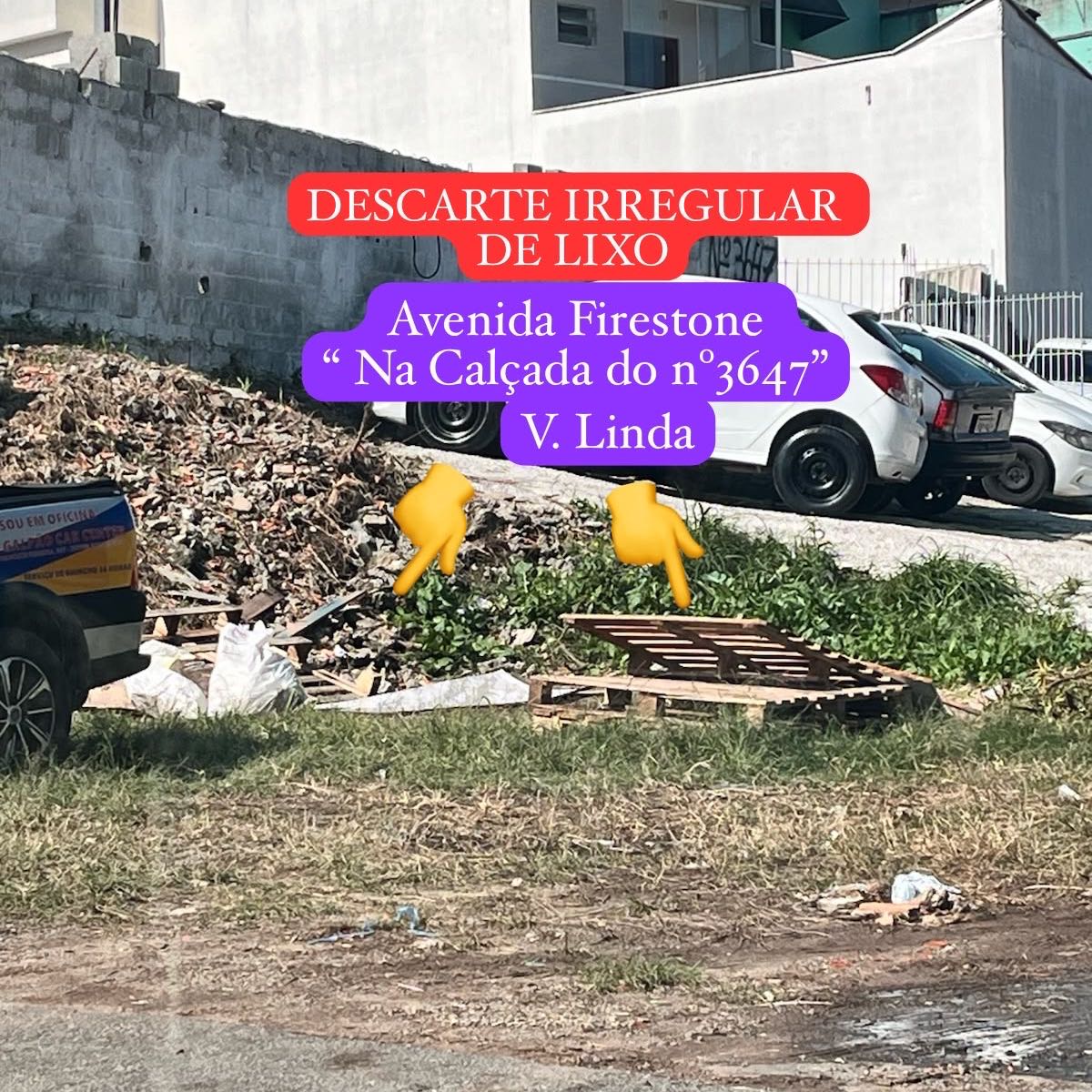 Imagem da publicação