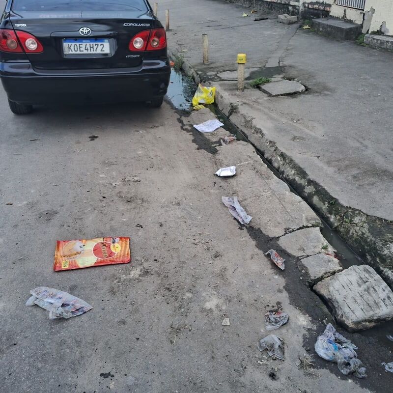 Imagem da publicação