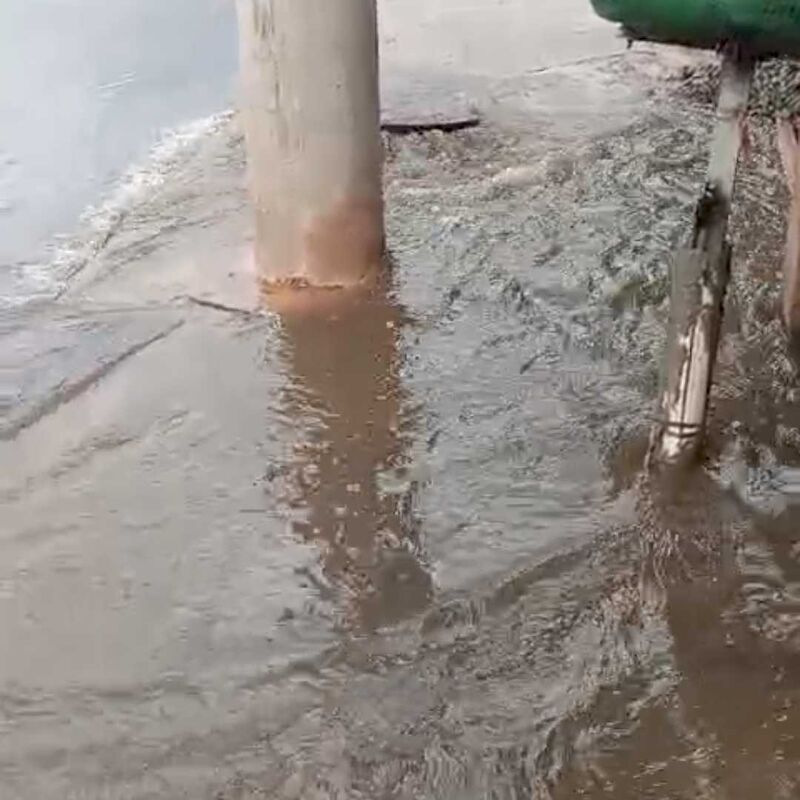 Imagem da publicação