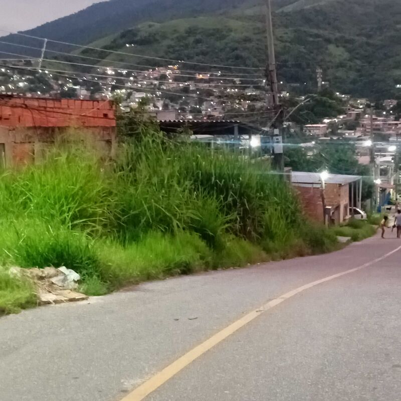 Imagem da publicação