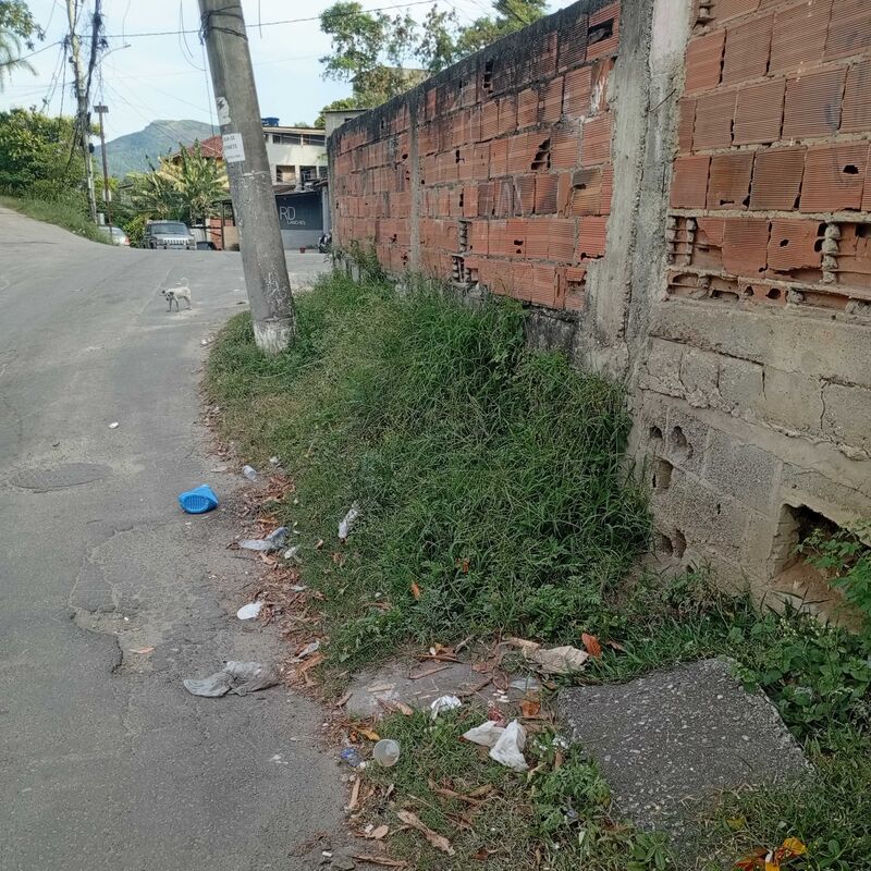 Imagem da publicação