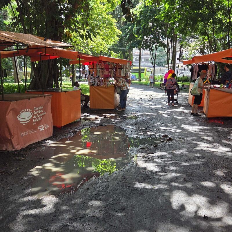 Imagem da publicação