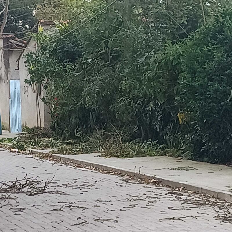 Imagem da publicação