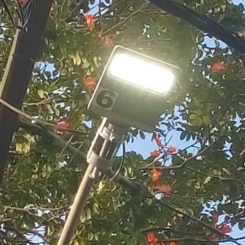 Imagem da publicação