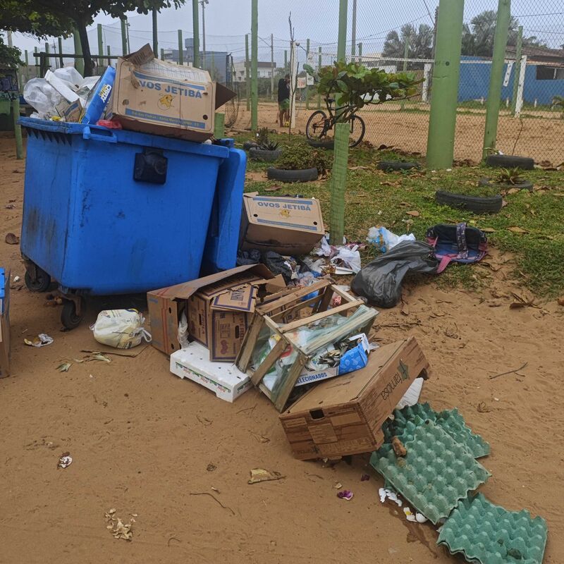 Imagem da publicação