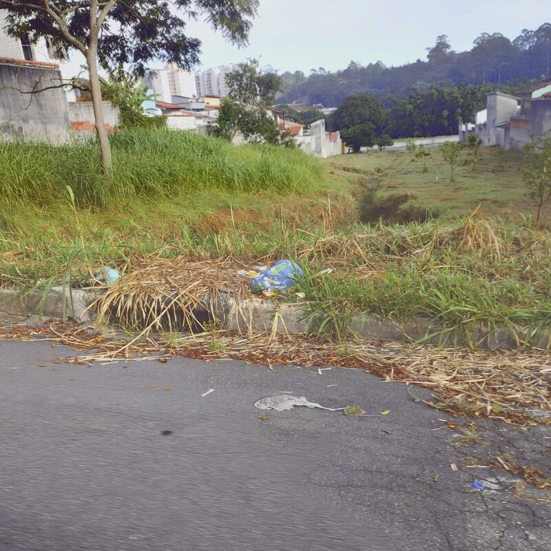 Imagem da publicação